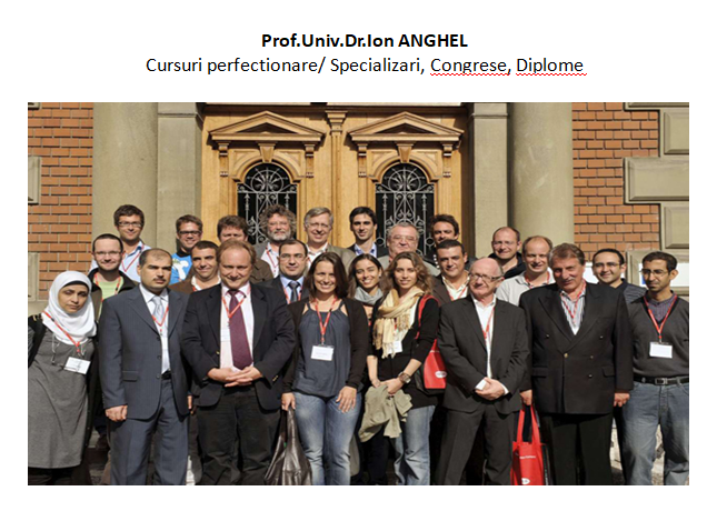despre mine prof. doctor Ion Anghel despre mine prof. doctor Ion Anghel