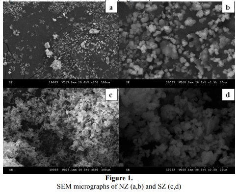 Antibiotic potentiator effect of the natural and synthetic zeolites with well defined nanopores with possible ent clinical applications