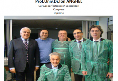 despre mine prof. doctor Ion Anghel